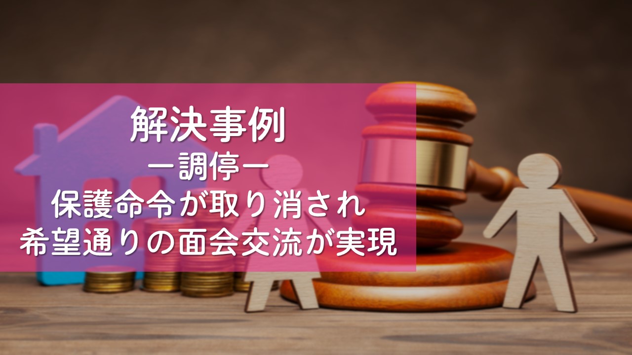 解決事例　離婚（離婚原因の有無、財産分与、面会交流）